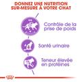 Visuel 5 sur 8