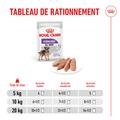 Visuel 6 sur 7