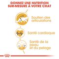 Visuel 6 sur 8