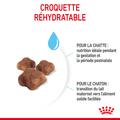 Visuel 3 sur 10