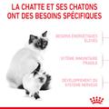 Visuel 5 sur 10