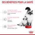 Visuel 6 sur 10