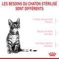 Visuel 5 sur 9