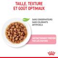Visuel 4 sur 10