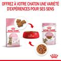 Visuel 5 sur 10