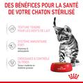 Visuel 6 sur 10