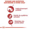 Visuel 5 sur 7