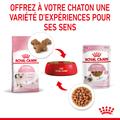 Visuel 6 sur 11