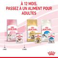 Visuel 7 sur 11