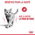 Visuel 6 sur 12
