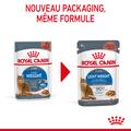 Visuel 10 sur 12
