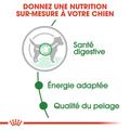 Visuel 5 sur 8