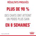 Visuel 8 sur 11