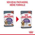 Visuel 6 sur 12