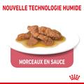 Visuel 5 sur 9