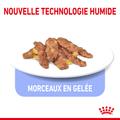 Visuel 4 sur 9