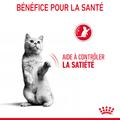 Visuel 5 sur 11