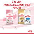 Visuel 4 sur 10