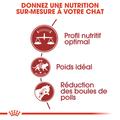 Visuel 5 sur 7