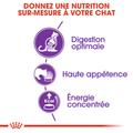 Visuel 5 sur 7