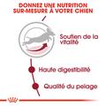 Visuel 6 sur 9