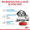 Visuel 4 sur 10