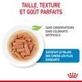 Visuel 6 sur 10