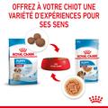 Visuel 7 sur 10