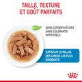 Visuel 4 sur 9