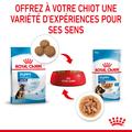 Visuel 6 sur 9