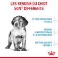 Visuel 5 sur 9