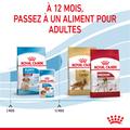 Visuel 6 sur 9