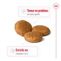 Visuel 3 sur 11
