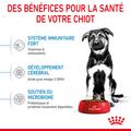 Visuel 3 sur 10
