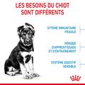 Visuel 4 sur 10