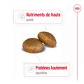Visuel 3 sur 11