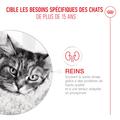 Visuel 3 sur 10