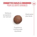 Visuel 4 sur 10