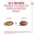 Visuel 5 sur 10