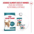 Visuel 6 sur 10