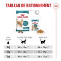 Visuel 7 sur 10