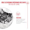 Visuel 4 sur 8