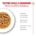 Visuel 5 sur 8