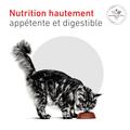 Visuel 5 sur 10