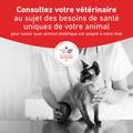 Visuel 9 sur 10