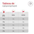 Visuel 10 sur 10
