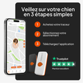 Visuel 6 sur 10