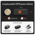 Visuel 7 sur 10