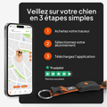 Visuel 7 sur 10