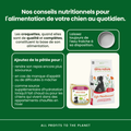 Visuel 3 sur 5